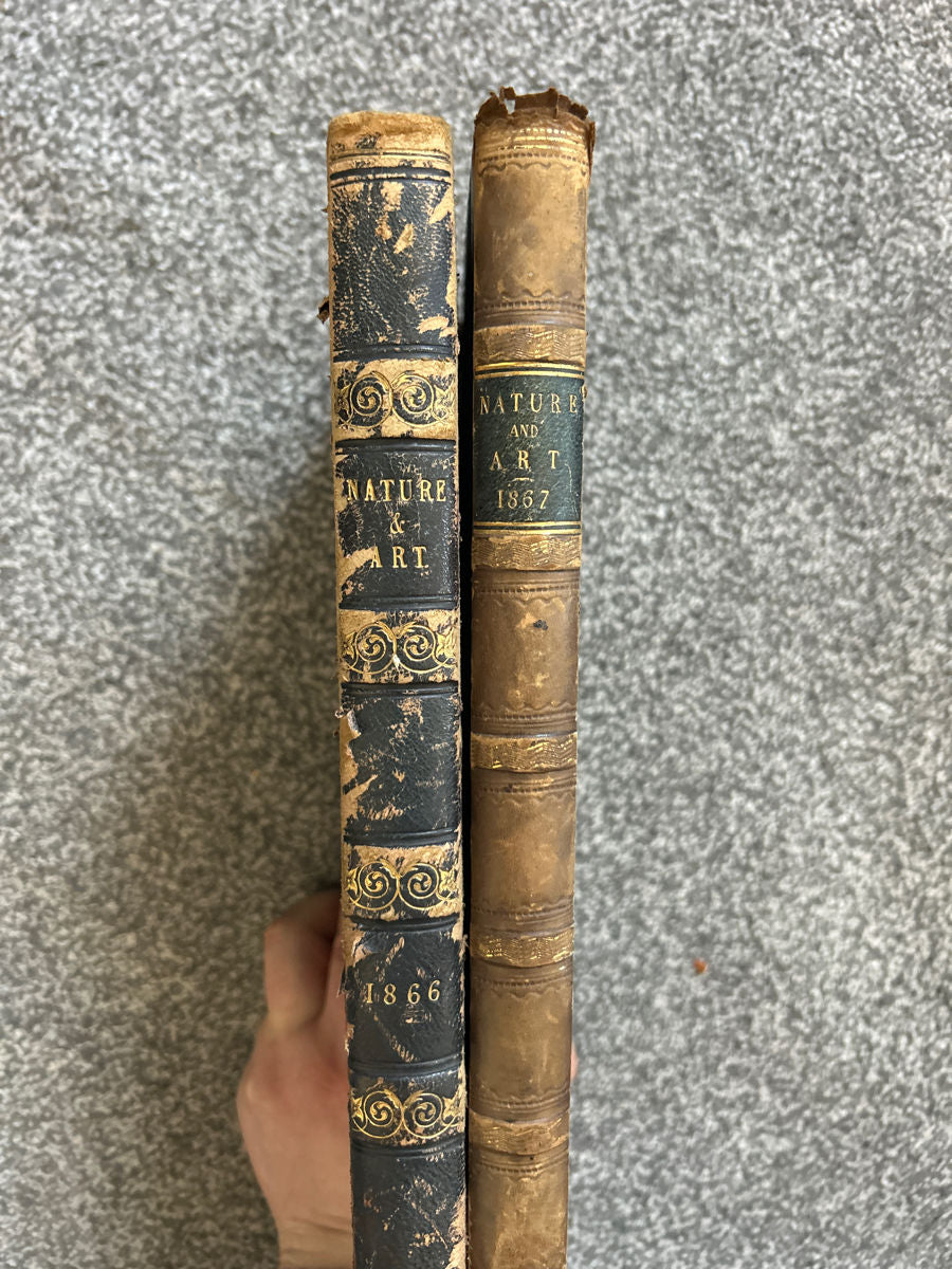 Set complet 2 Volume Antiquariat "Nature and Art" (1866 – 1867) – Litografii Color superbe, Ediție Rare Victoriană