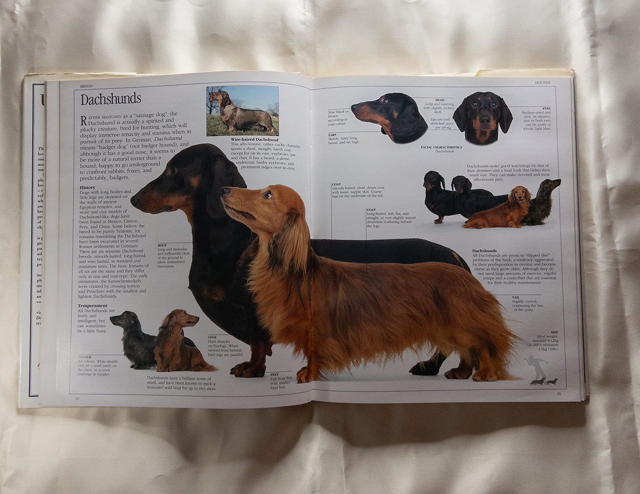 Иллюстрированная энциклопедия пород собак - The Ultimate Dog Book