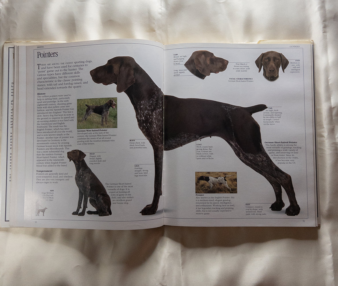 Иллюстрированная энциклопедия пород собак - The Ultimate Dog Book