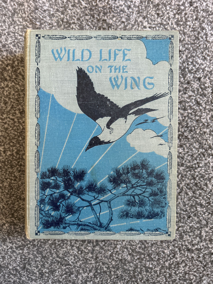 Carte de anticariat „Wild Life on the Wing” (1913) – A. D. Homeland | Ilustrații color