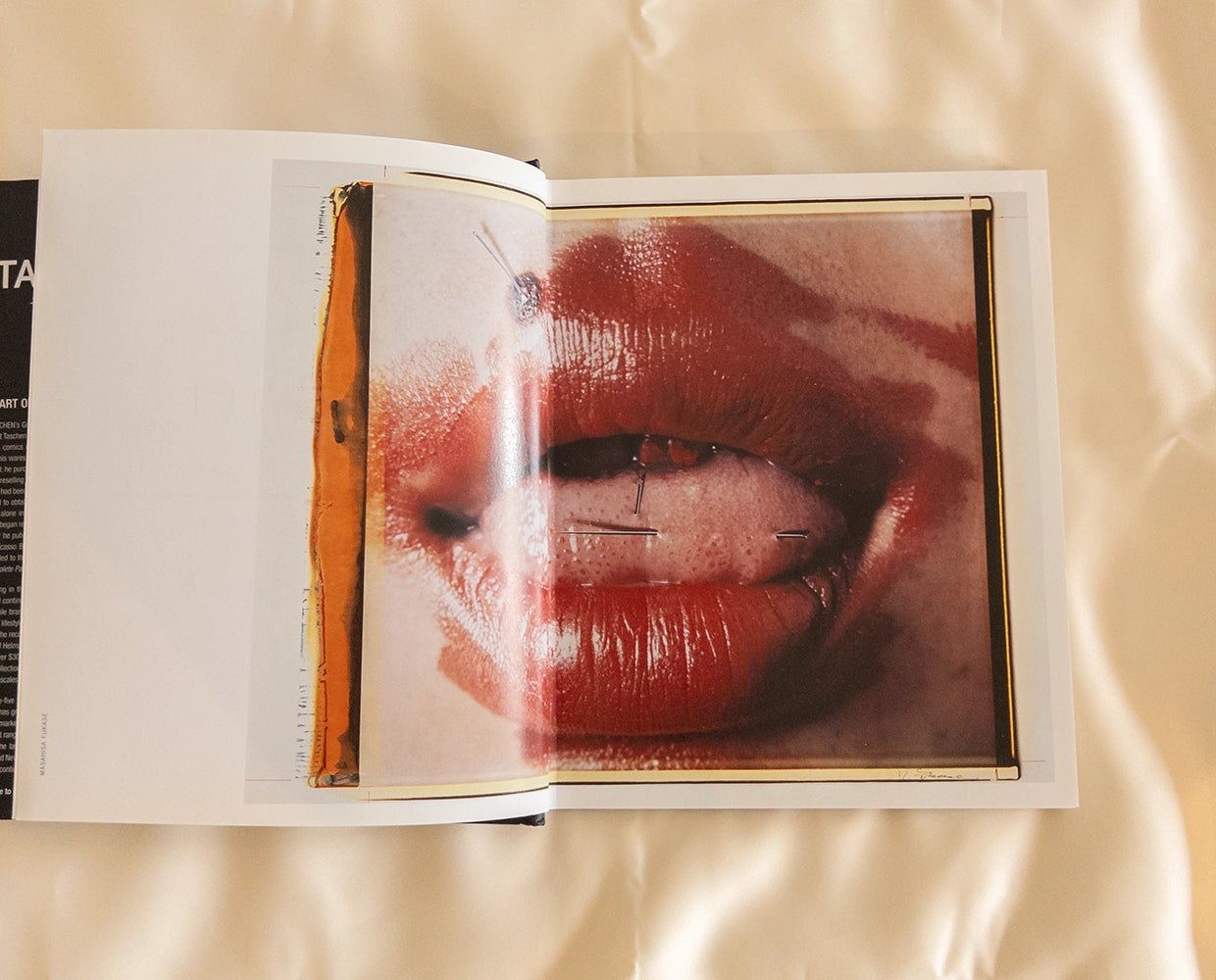 Книга Polaroid. Избранные работы из коллекции фотографии Polaroid — TASCHEN